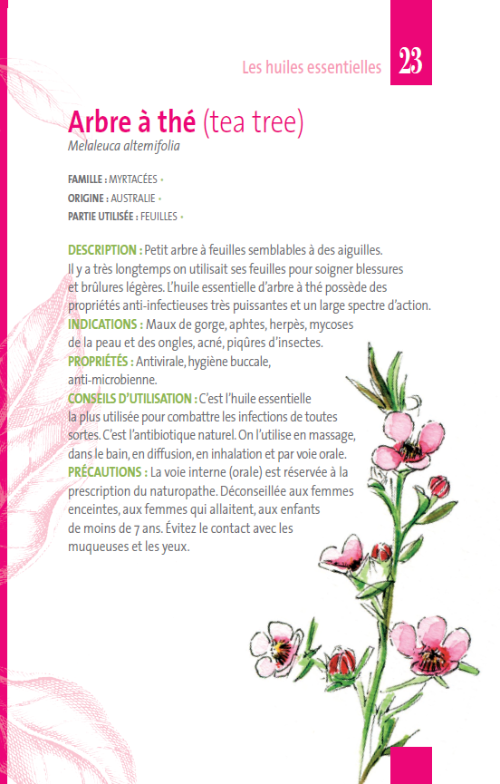 Les Huiles essentielles